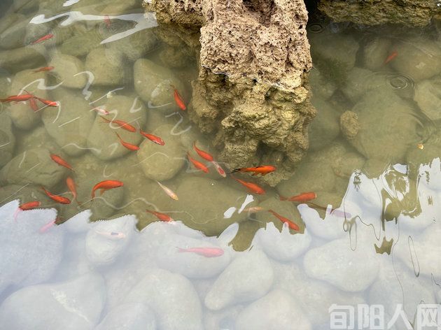 春山登高新韵二首   文/刘承印(图1) 微信图片_20240316131731.jpg