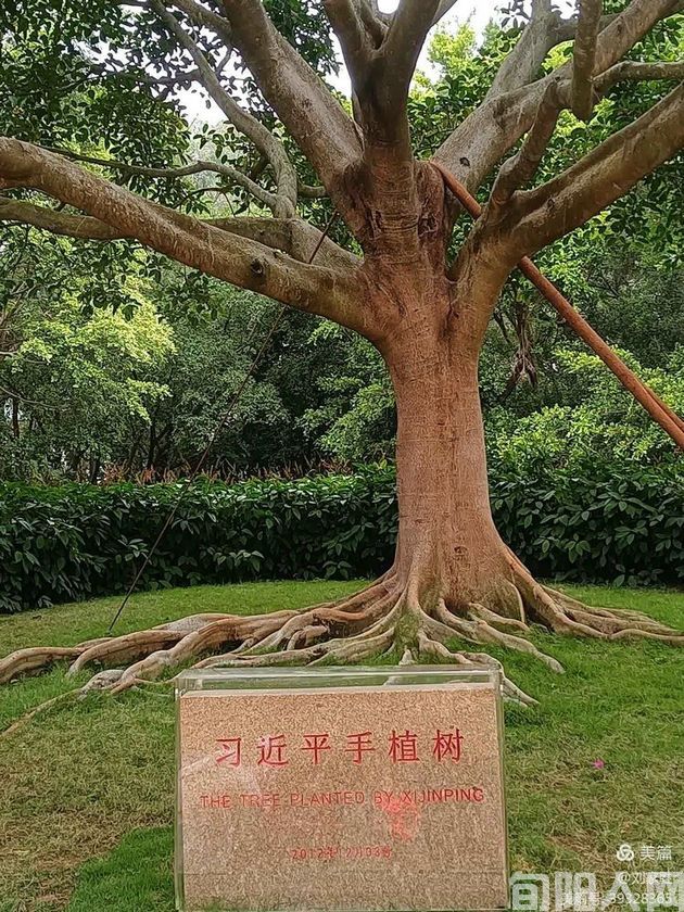 刘3.jpg