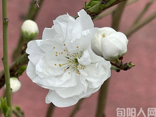 微信图片_20240316131639.jpg