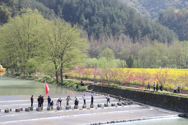 游勉县油菜花海  青山绿水花金黄   文/张根劳(图6) 图片7.jpg