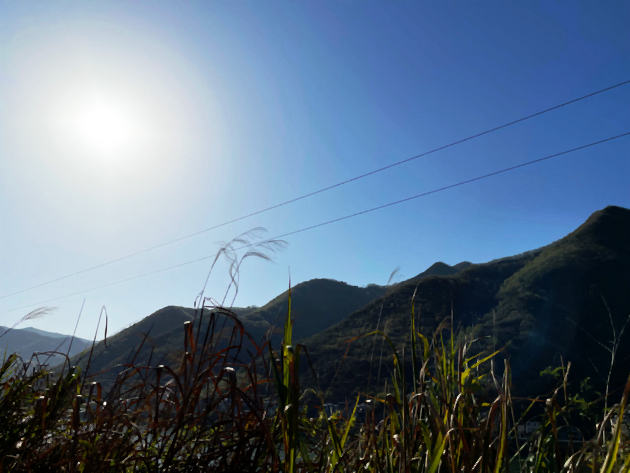 1988年 台湾来客   文/李虎山(图1) 太阳.jpg