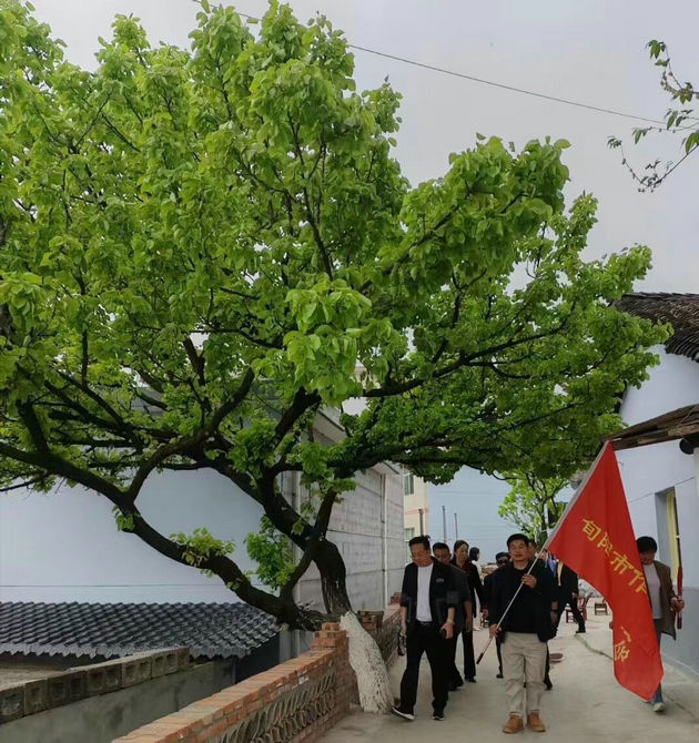 晏坪村5.jpg