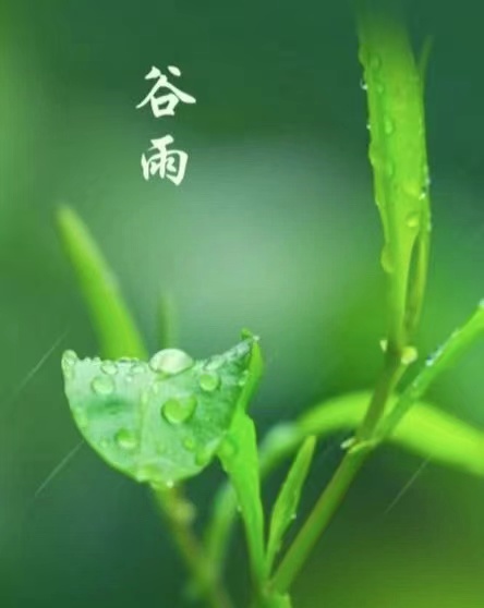 谷雨(诗二首)  文/李明清(图1) 谷雨.jpg