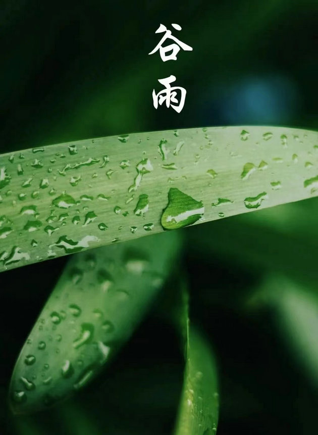回忆高中时在十里农场的谷雨节  文/徐军(图1) 谷雨3.jpg