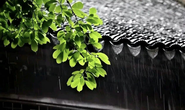 谷雨4.jpg
