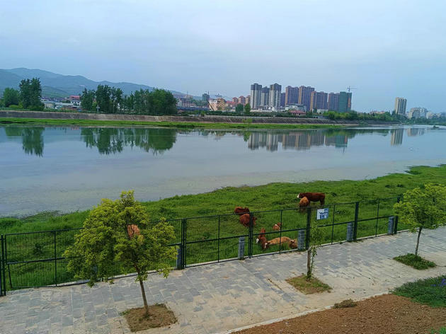 刘家胜3.jpg