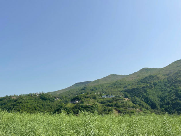 春的喜悦    文/王自霞(图1) 春.jpg