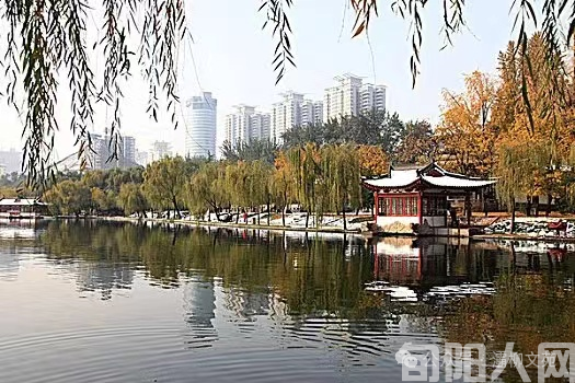 公园的秘密    文/张啟凡(图1) 公园.png