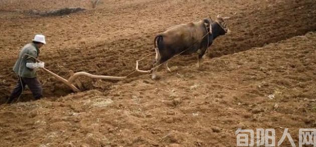 垦荒   文/程根子(图1) 开垦2.jpg