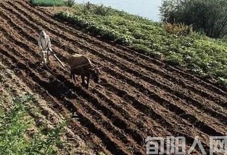 垦荒   文/程根子(图2) 开垦.jpg