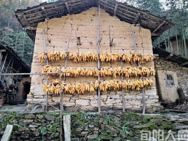 垦荒   文/程根子(图3) 开垦4.jpg