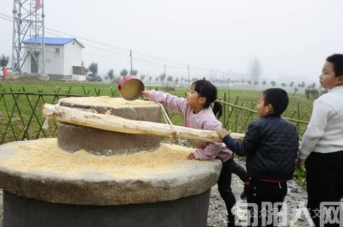 我的往事(32):饥不择食   文/李康平(图1) 食物.png
