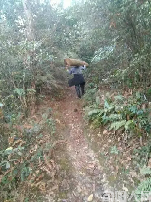 兄弟.png
