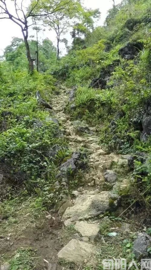 乡间小路.jpg