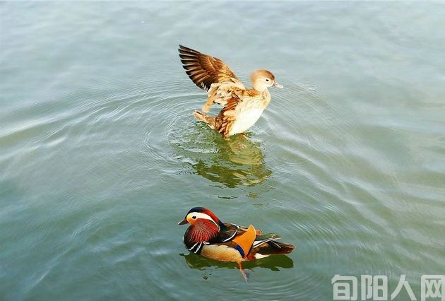 平定河那个地方   文/常正安(图4) 平定4.jpg