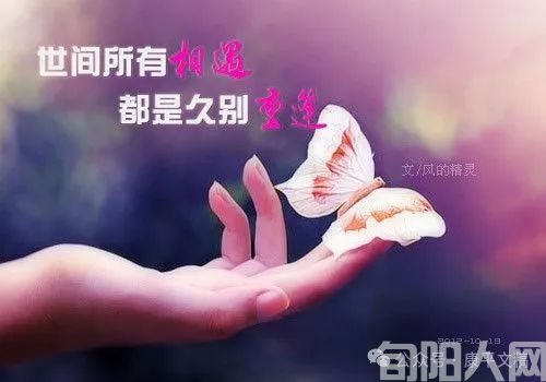 相遇.jpg