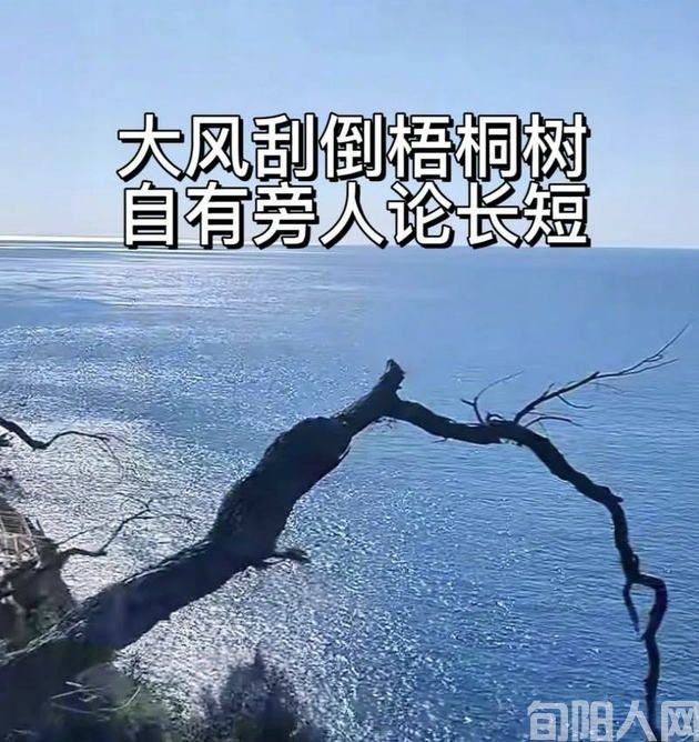 大风.jpg