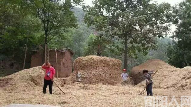 麦场3.jpg