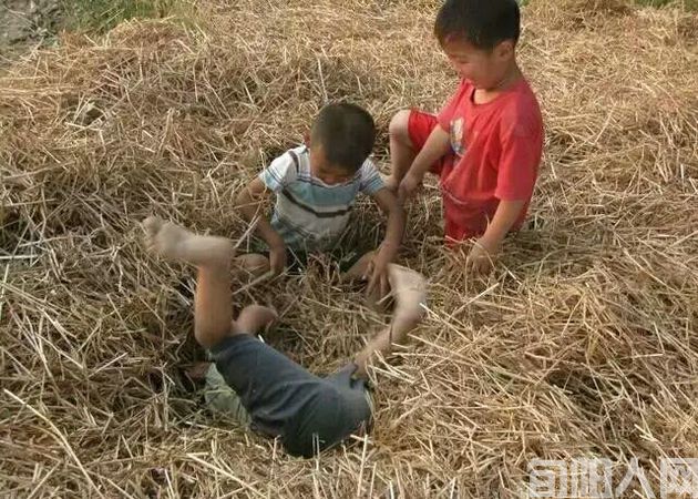 麦场4.jpg