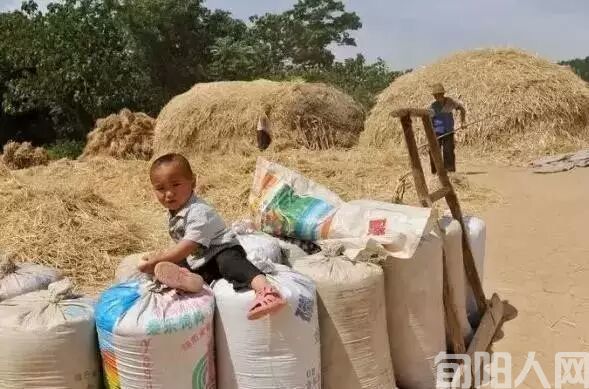 麦场5.jpg