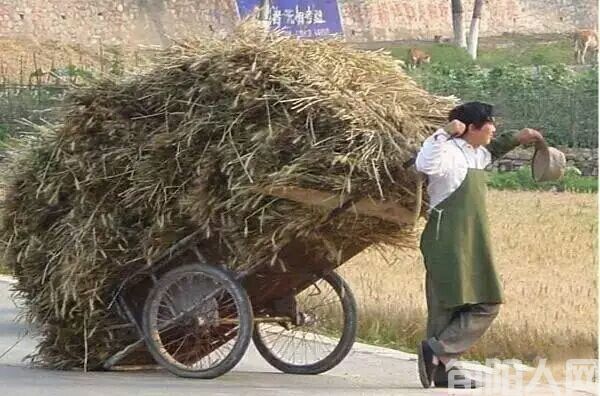 麦场2.jpg