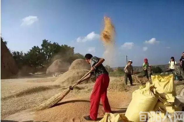 麦场6.jpg