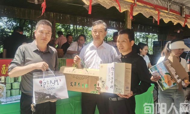 活动.jpg