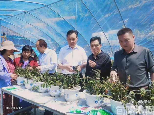 活动4.jpg