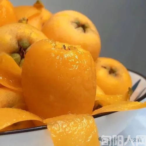 枇杷啊.jpg