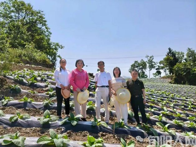 我的往事(111):莫伸老师   文/李康平(图4) 莫伸老师2.jpg