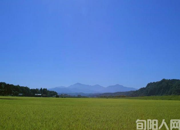 田园.jpg