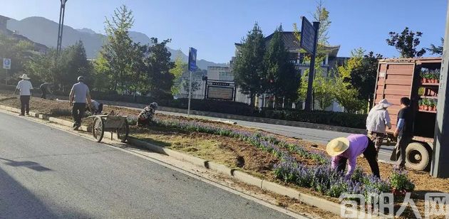 陕西省安康市岚皋县住建局：补植添新绿，助力岚皋“村BA”