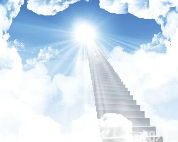 如果我死了    文/马志高