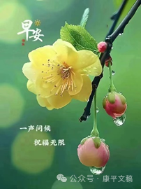 早安.png