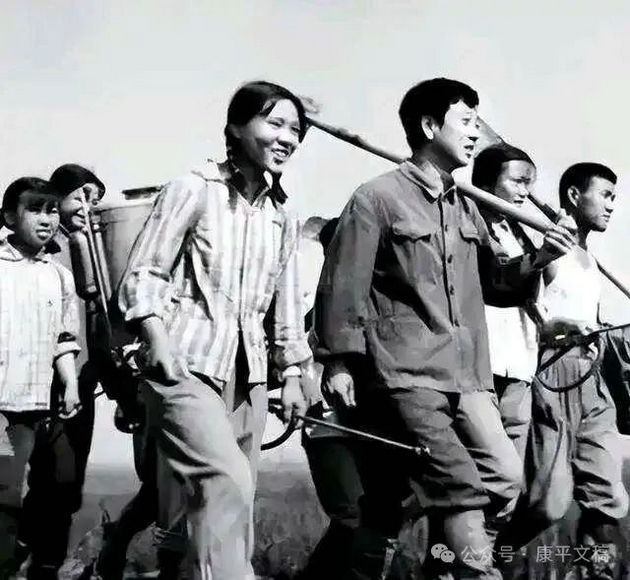 知青2.jpg