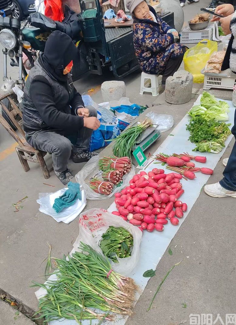 微信图片_20241214170135.jpg