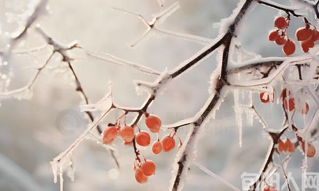 雪景.jpg