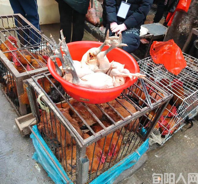 微信图片_20250128121044.jpg