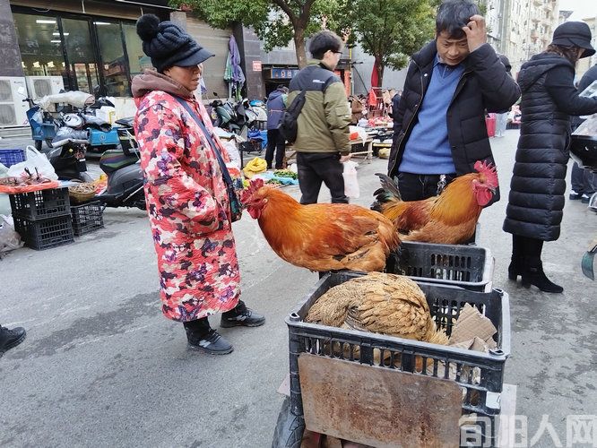 微信图片_20250128121123.jpg