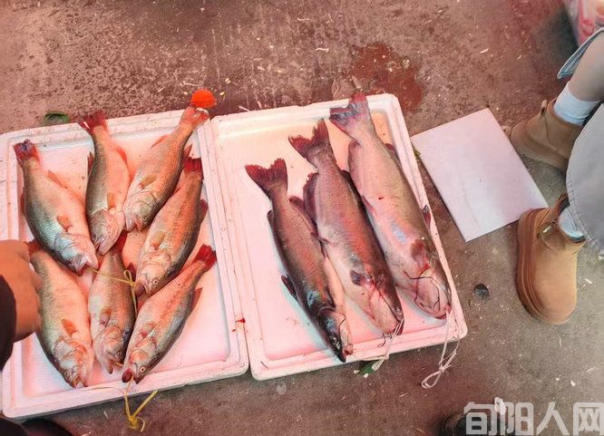 微信图片_20250128121036.jpg