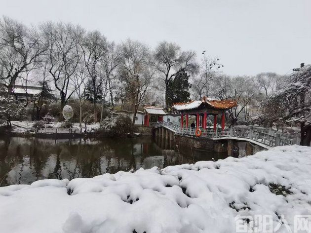 雪.jpg