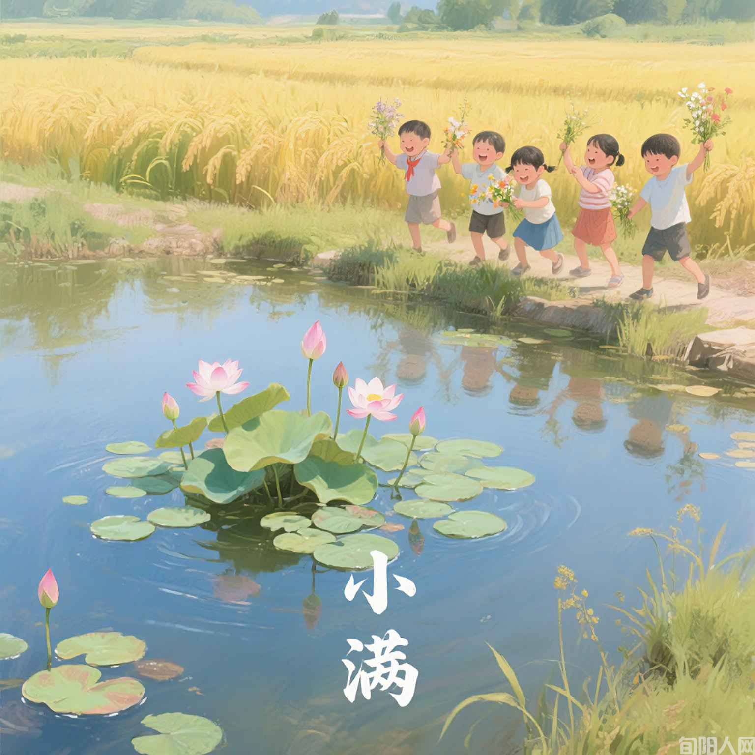 图片1.png