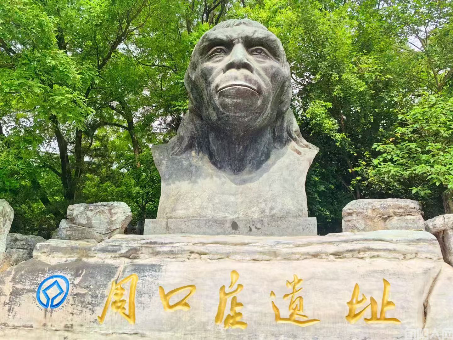 北京人2.jpg